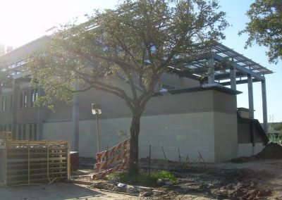Rockville Sportsplex – Retaining Wall Tree Preservation