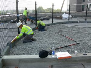 10026997764_d95a93fe9e_o