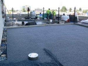 10027016774_286a5043b6_o