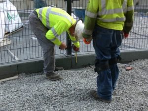 10027065726_0c5635816f_o