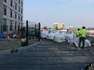 10027135243_030cedd2e4_o