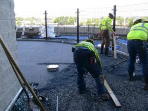 10027143583_217744ba66_o