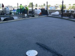 10027150453_46e446cebf_o