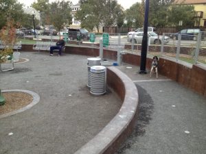 13649688763_f8d7dd729e_o