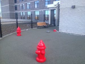 13653237065_898fbb5fc9_o