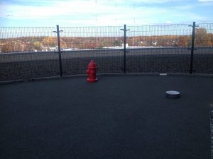 13653268033_4a7812236d_o