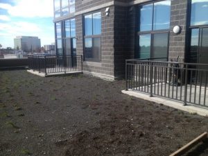 13653575914_272338586a_o