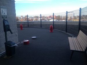 13653597354_e21e20c934_o