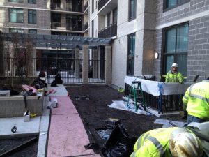 13653628044_cb6547f5a3_o