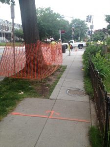 13655265925_d296f16522_o