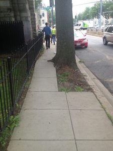 13655267495_3d91f51df2_o