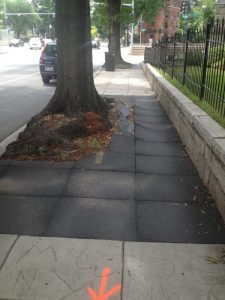 13655301333_171efe6a0e_o