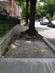 13655307775_4c88627331_o