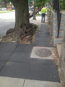 13655307943_d87e98b3d4_o