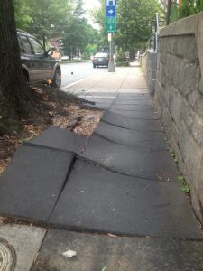 13655312693_2eba1d562d_o