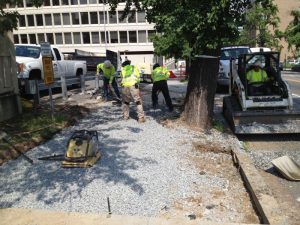 13655332183_bc8152516c_o