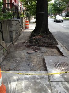 13655344553_b965e95623_o