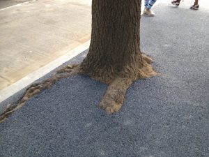 13655346165_e2879090c2_o