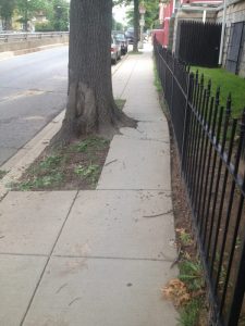 13655620574_93ea4ea776_o