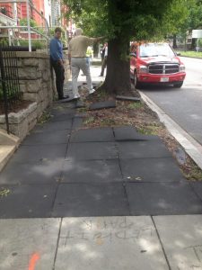 13655623924_99c1e28356_o