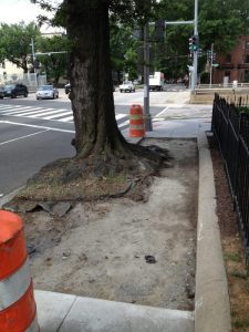 13655656314_1d4c9f5cf1_o