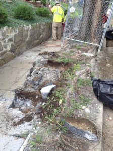 17th St 2017-08-14 09.42.22 copy