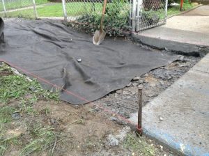 17th St 2017-08-15 10.56.45 copy