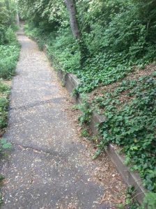 18707764532_ba75125bf3_o