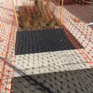 2017-10-28 10.15.31 copy