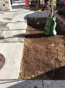 2019-10-24 09.49.43 copy