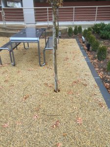 7811-montrose-courtyard_18060497204_o