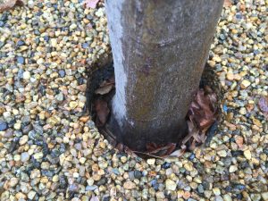 7811-montrose-courtyard_18495453760_o