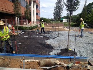 7811-montrose-rd_15467893450_o