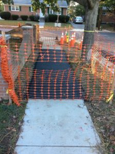 Arthur 2019-10-09 17.47.27 copy