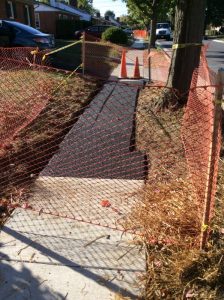 Arthur 2019-10-10 16.29.56 copy