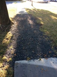 Arthur 2019-10-11 08.38.23 copy