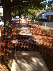 Arthur 2019-10-11 16.40.56 copy