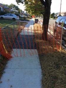 Arthur 2019-10-11 16.42.16 copy