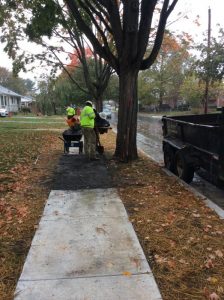 Arthur 2019-10-16 11.23.09 copy