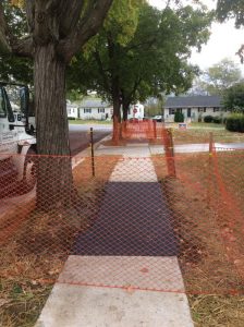 Arthur 2019-10-17 12.48.01 copy