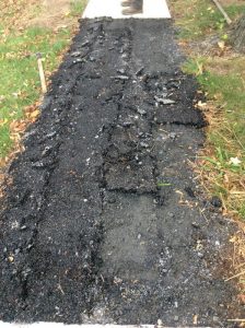 Arthur 2019-10-17 16.00.30 copy