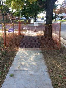 Arthur 2019-10-18 12.38.47 copy