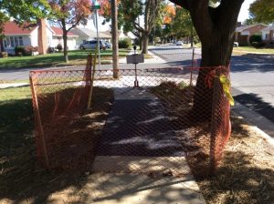 Arthur 2019-10-18 12.41.53 copy