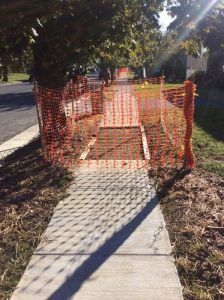 Arthur 2019-10-18 16.03.19 copy