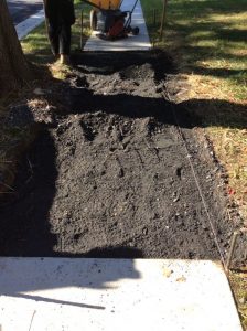 Arthur 2019-10-21 15.08.56 copy