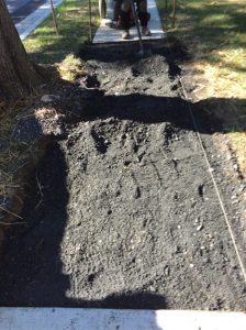 Arthur 2019-10-21 15.09.01 copy