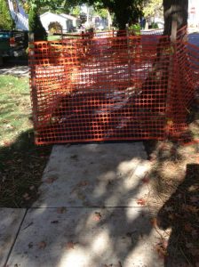 Arthur 2019-10-23 15.12.08 copy