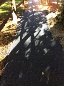 Arthur 2019-10-23 15.12.35 copy