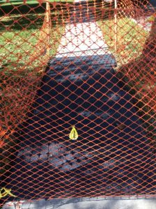 Arthur 2019-10-28 12.53.56 copy