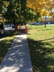 Arthur 2019-10-28 12.54.03 copy